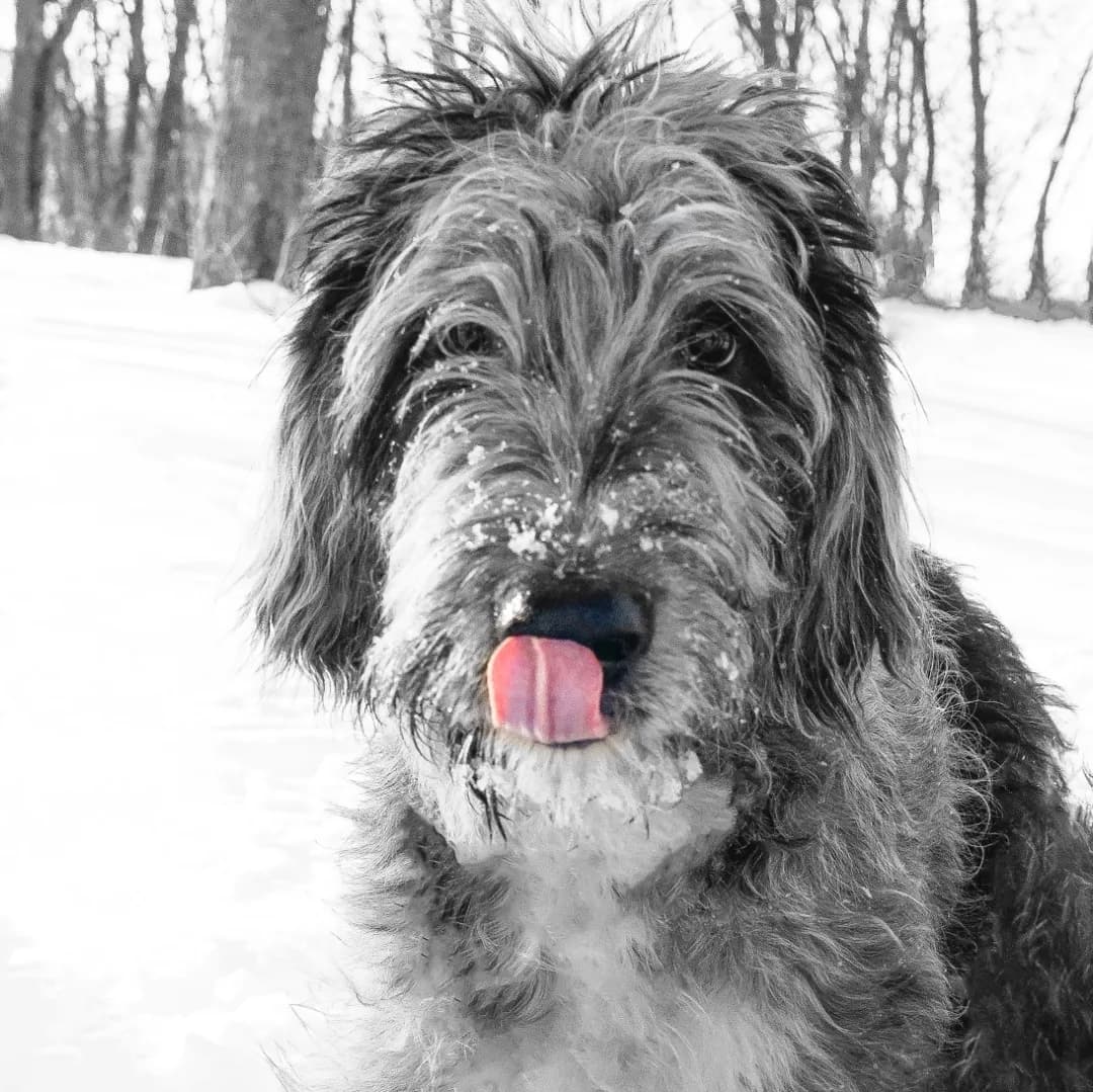Hobbes